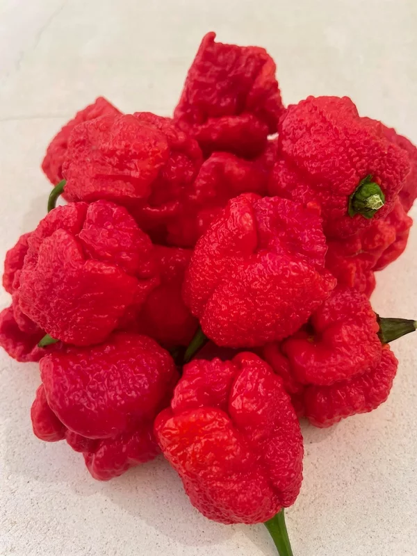 Carolina Reaper
