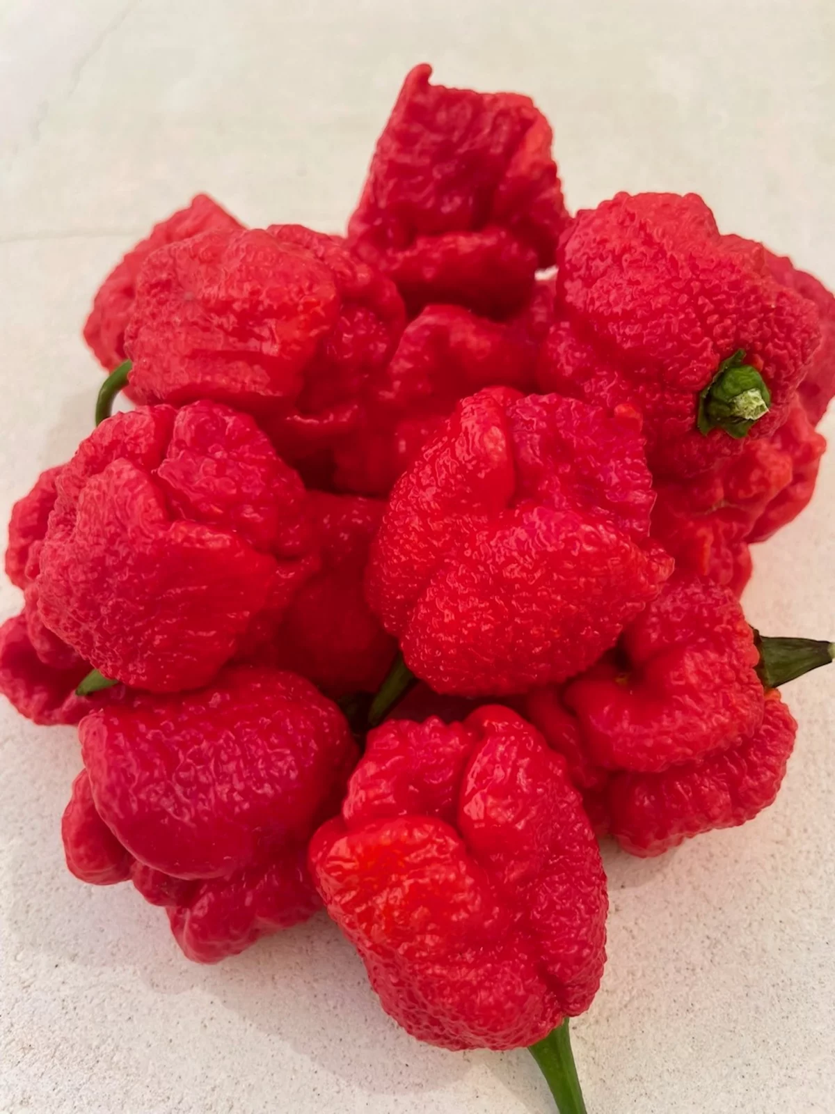 Fresh Carolina Reaper from Mallorca Fresh Carolina Reaper from Mallorca