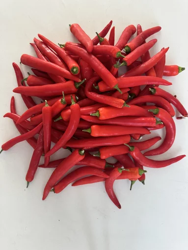 Rifa Chilis for the best chili sauces